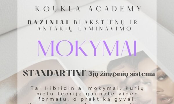 Baziniai antakių laminavimo mokymai (grupiniai)